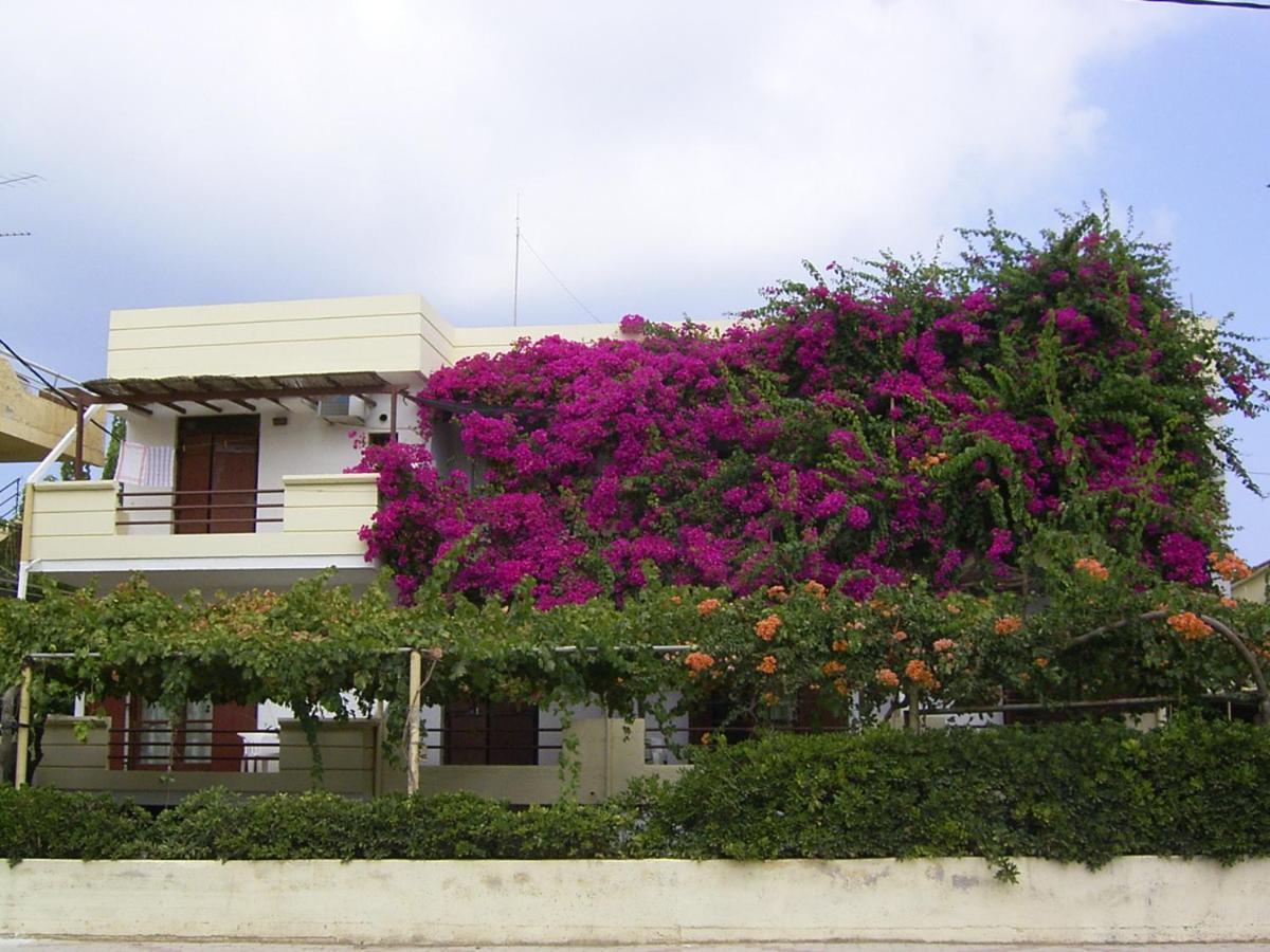 Erofili Aparthotel Agia Marina  Exterior photo